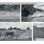 CAT - Confiscated Assets in Transition